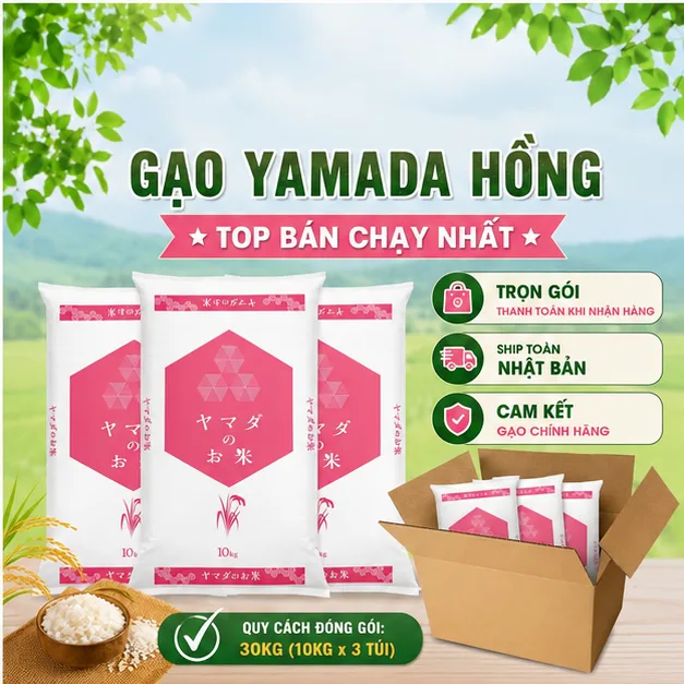 Gạo Nhật Yamada Hồng (Vỏ Bì Trắng Mới)