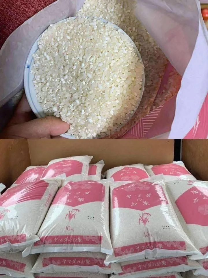 Gạo Nhật Yamada Hồng (Vỏ Bì Trắng Mới)